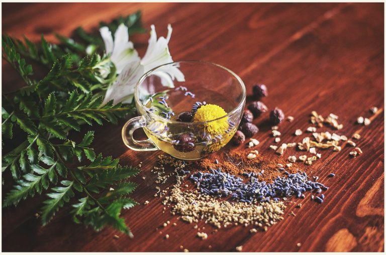Read more about the article Ayurvedic Wisdom for Brain Health: Natural Ways to Support Memory and Focus 