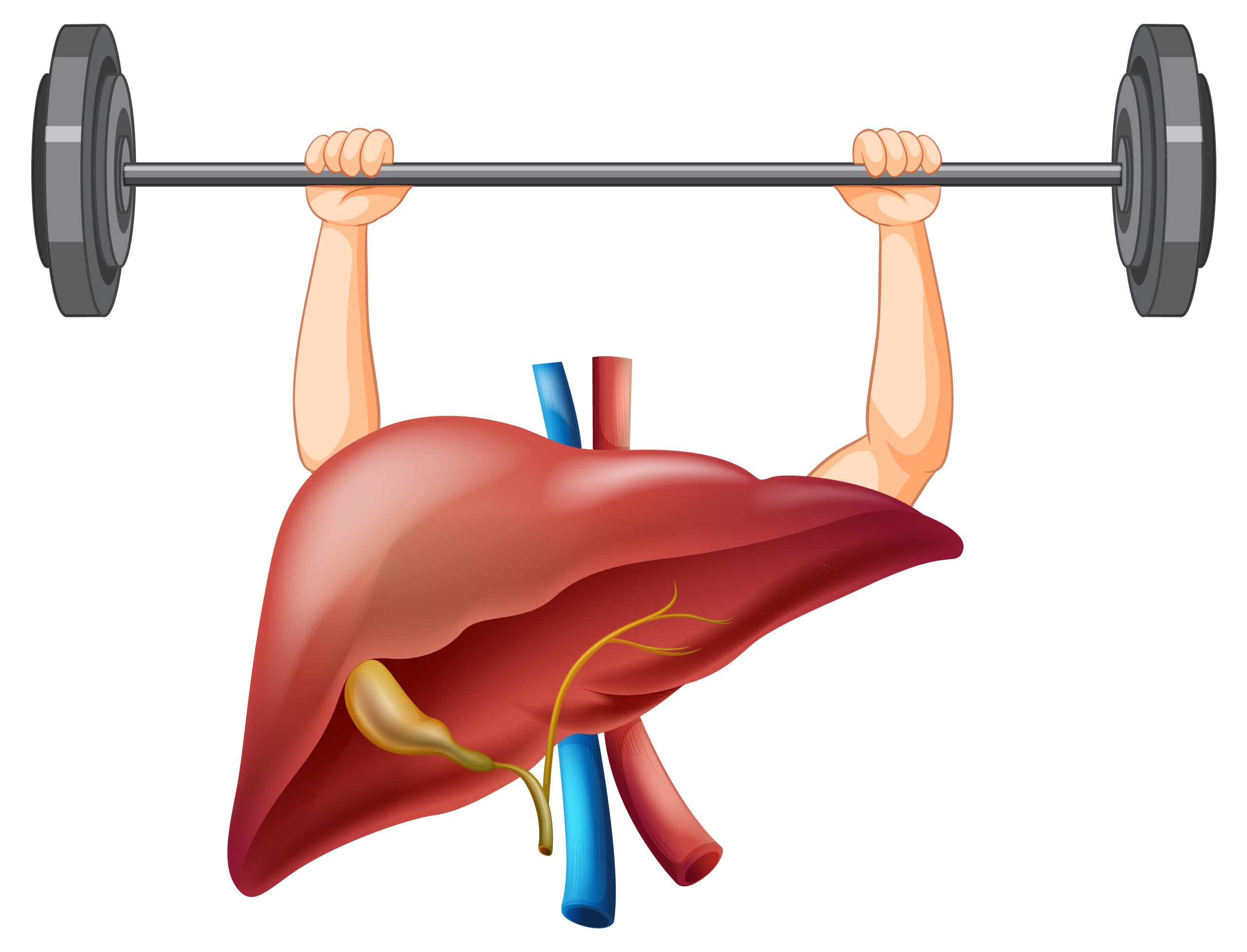 Read more about the article Homeopathy for Liver Wellness: A Quick Guide to Potent Remedies 